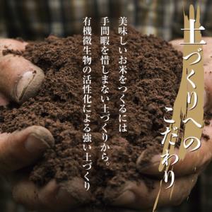 ふるさと納税 南魚沼市 【毎月定期便】無洗米 ...の詳細画像2