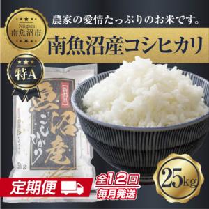 ふるさと納税 南魚沼市 【毎月定期便】南魚沼産 コシヒカリ 精米 25kg(美味しい炊き方ガイド付)全12回