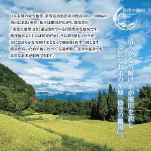 ふるさと納税 南魚沼市 【毎月定期便】【産地限...の詳細画像1