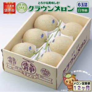 ふるさと納税 袋井市 【毎月定期便】クラウンメロン(白等級)6玉詰　全12回