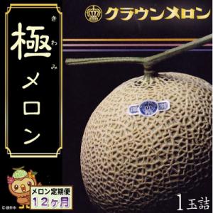 ふるさと納税 袋井市 【毎月定期便】クラウンメロン『極』山等級　1玉　全12回
