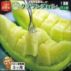 【毎月定期便】クラウンメロン(白上級)1玉詰　全3回
