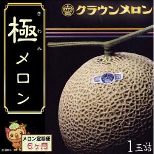 ふるさと納税 袋井市 【毎月定期便】クラウンメロン『極』山等級　1玉　全6回