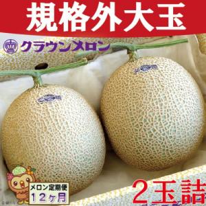 ふるさと納税 袋井市 【毎月定期便】【規格外BIGサイズ!】クラウンメロン規格外大玉　2玉詰　全12回