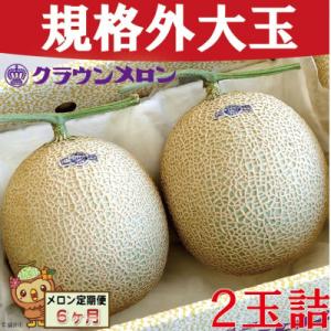 ふるさと納税 袋井市 【毎月定期便】【規格外BIGサイズ!】クラウンメロン規格外大玉　2玉詰　全6回