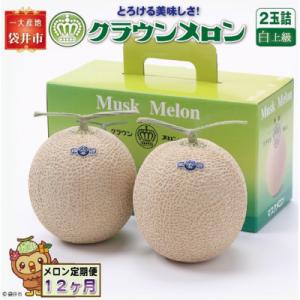 ふるさと納税 袋井市 【毎月定期便】クラウンメロン(白上級)2玉詰　全12回