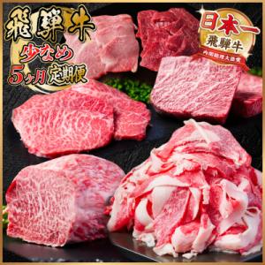 【毎月定期便】飛騨牛 少なめ定期便 計1.8kg 全5回 ステーキ 焼肉 切り落とし 赤身ブロック肉