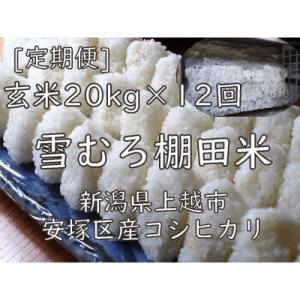 ふるさと納税 上越市 【毎月定期便】雪むろ棚田米...の商品画像