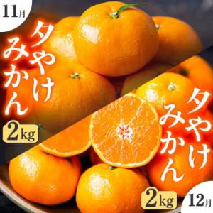 【発送月固定定期便】「こたつの上の冬物語」夕やけみかん(2kg)【C49-74】全2回