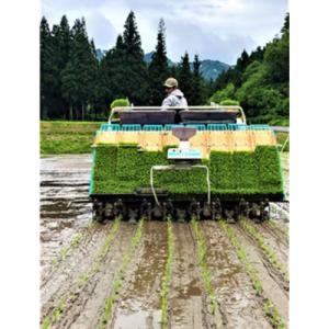 ふるさと納税 魚沼市 【毎月定期便】生産者直送...の詳細画像1