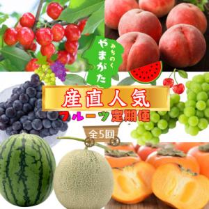ふるさと納税 山形県 [発送月固定定期便]山形"産直人気"フルーツ便[令和8年発送]全5回