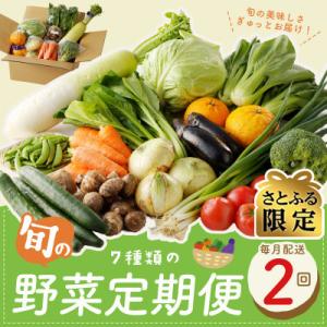 【毎月定期便】【さとふる限定】新鮮野菜 7種類以上 詰め合わせ 全2回