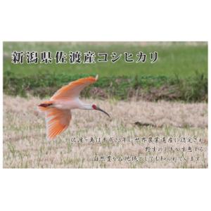 ふるさと納税 佐渡市 【毎月定期便】《無洗米》...の詳細画像2