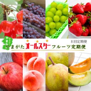 ふるさと納税 山形県 【発送月固定定期便】やまがたオールスターフルーツ定期便全8回