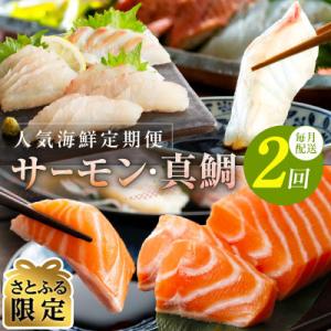 【毎月定期便】【さとふる限定】人気海鮮 サーモン/真鯛 お刺身 食べ比べ 全2回