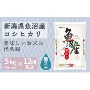 【毎月定期便】無洗米 新潟県 魚沼産 コシヒカリ 5kg全12回