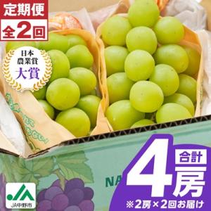 【発送月固定定期便】〈2026年発送〉シャインマスカット2房1kg以上　JA中野市から直送全2回