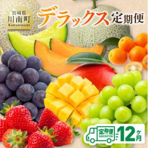 ふるさと納税 川南町 【発送月固定定期便】デラッ...の商品画像