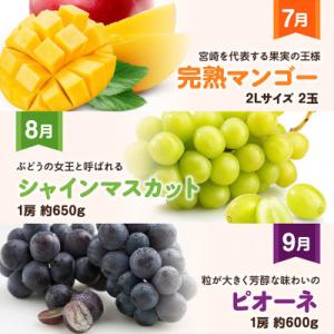ふるさと納税 川南町 【発送月固定定期便】デラ...の詳細画像2
