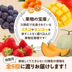 ふるさと納税 川南町 【発送月固定定期便】プレ...の詳細画像1