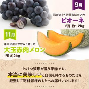 ふるさと納税 川南町 【発送月固定定期便】プレ...の詳細画像3