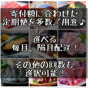 ふるさと納税 小田原市 【毎月定期便】特選!海...の詳細画像3