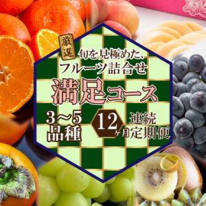 【毎月定期便】旬を見極めた、厳選フルーツ詰合せ定期便【満足コース】(3～5品種)全12回