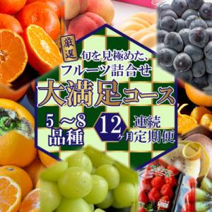 ふるさと納税 高松市 【毎月定期便】旬を見極めた厳選フルーツ詰合せ【大満足コース】(5〜8品種)全12回