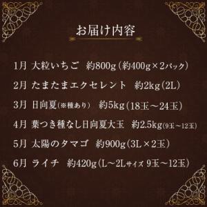 ふるさと納税 新富町 【発送月固定定期便】南国...の詳細画像1