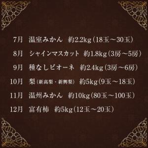 ふるさと納税 新富町 【発送月固定定期便】南国...の詳細画像2