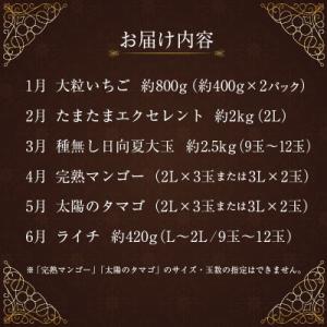 ふるさと納税 新富町 【発送月固定定期便】旬の...の詳細画像1