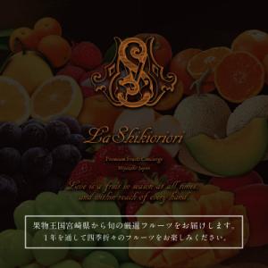 ふるさと納税 新富町 【発送月固定定期便】南国...の詳細画像2
