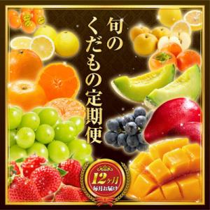 【発送月固定定期便】旬のくだもの定期便全12回