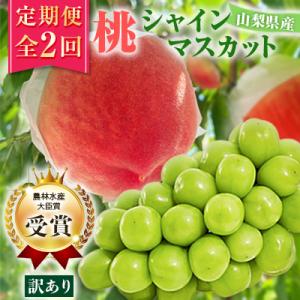 【発送月固定定期便】【訳アリ】山梨の桃とシャインマスカット全2回