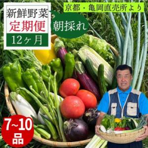 【毎月定期便】訳あり 農家直送!佐伯の里の新鮮 野菜セット(7～10品目)全12回