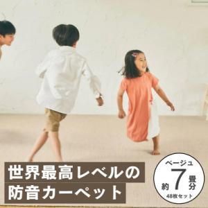 ふるさと納税 和泉市 最大82%の音をカットする...の商品画像