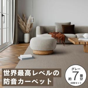 ふるさと納税 和泉市 最大82%の音をカットする...の商品画像