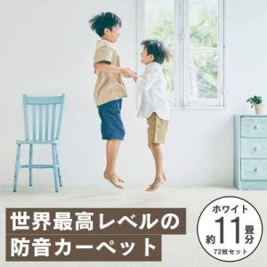 ふるさと納税 和泉市 最大82%の音をカットする...の商品画像
