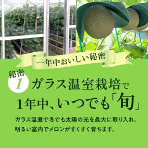 ふるさと納税 浜松市 【毎月定期便】クラウンメ...の詳細画像2