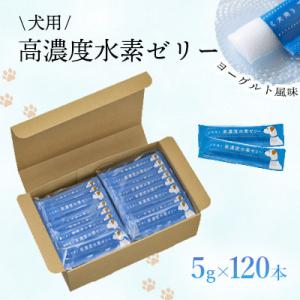 ふるさと納税 北九州市 【毎月定期便】高濃度水素ゼリー　犬用　5g×120本全6回