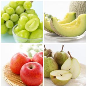 ふるさと納税 山形県 【発送月固定定期便】秋の風フルーツ定期便全4回