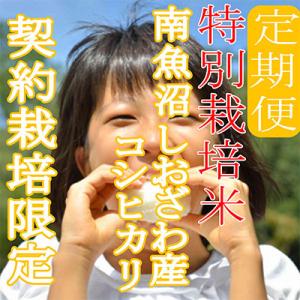 ふるさと納税 南魚沼市 【発送月固定定期便】※...の詳細画像1