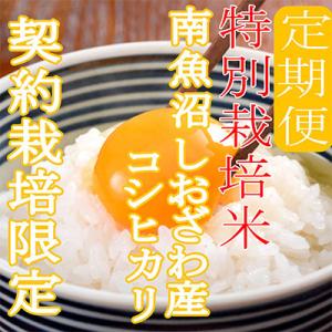 ふるさと納税 南魚沼市 【発送月固定定期便】※...の詳細画像2