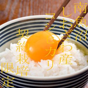ふるさと納税 南魚沼市 【発送月固定定期便】契...の詳細画像1