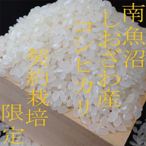 ふるさと納税 南魚沼市 【発送月固定定期便】契...の詳細画像3