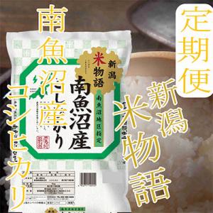 ふるさと納税 南魚沼市 【発送月固定定期便】【...の詳細画像3