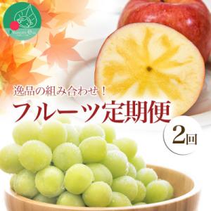 【発送月固定定期便】逸品の組み合わせ!フルーツ(シャインマスカット、高徳)【令和8年先行予約】全2回