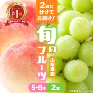 【発送月固定定期便】桃5～8玉(2kg)・シャインマスカット2房(1kg以上)全2回