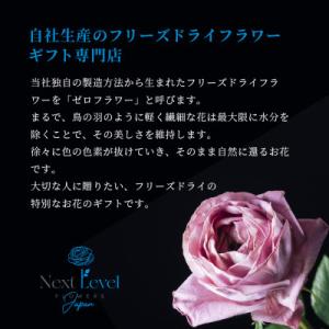 ふるさと納税 酒田市 【毎月定期便】水のいらな...の詳細画像3