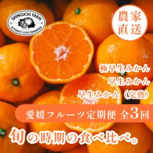 【発送月固定定期便】「時期による味の違いを楽しむ」愛媛みかんの旬を食べ比べ【F70-82】全3回